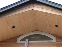 cedar siding and vaulted pine t & g soffit